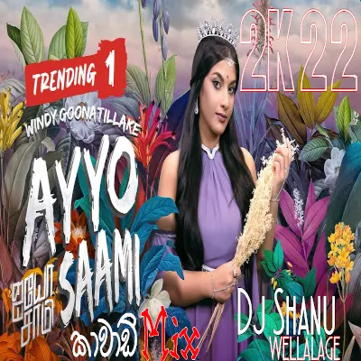 Ayyo Saami Kawadi Mix Dj mp3 song