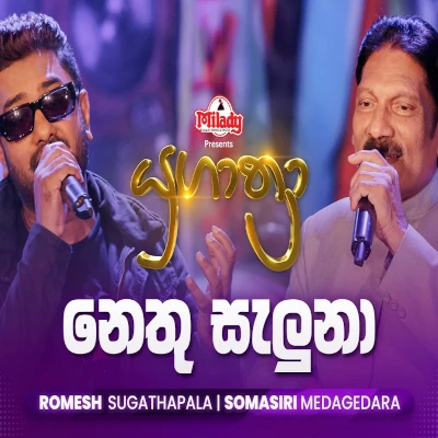 Nethu Saluna (Yugathra) mp3