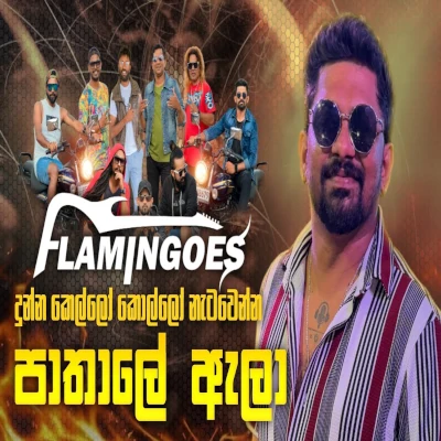 Flamingoes New Nonstop mp3
