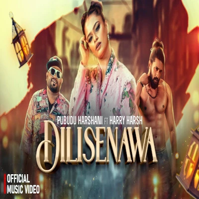 Dilisenawa mp3 songDilisenawa lyrics and karaoke