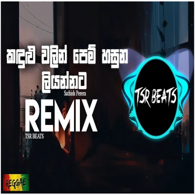 Kandulu Walin Reggae Remix (TSR BEATS) mp3 songKandulu Walin Reggae Remix (TSR BEATS) lyrics and karaoke