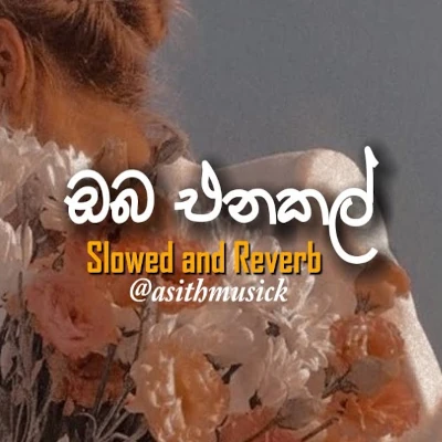 Oba Enakal Thaniyen Idala (Slowed & Reverb) mp3