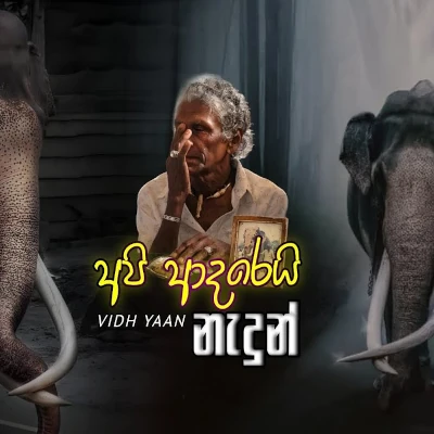 Api Adarei Nadun mp3