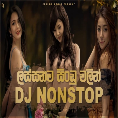 2024 Lover Gift DJ Nonstop mp3 song2024 Lover Gift DJ Nonstop lyrics and karaoke