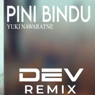 Pini Bindu (Remix) mp3 song