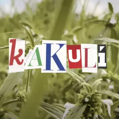 Kakuli mp3 songKakuli lyrics and karaoke