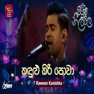 Kandulu Kiri Powa Thurule Senehasin Hadaa (Piyum Neela Vila) mp3 songKandulu Kiri Powa Thurule Senehasin Hadaa (Piyum Neela Vila) lyrics and karaoke