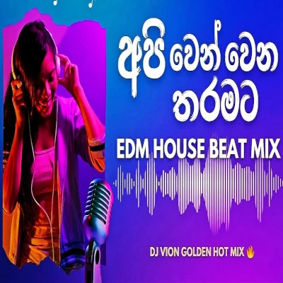 Api Wenwena Tharamata (Remix) mp3