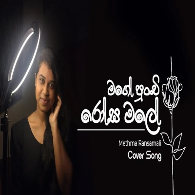 Mage Punchi Rosa Male (Cover) mp3 songMage Punchi Rosa Male (Cover) lyrics and karaoke