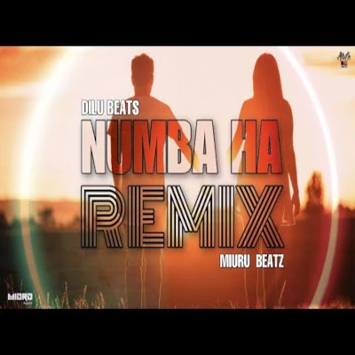 Numba Ha (Remix) mp3 song