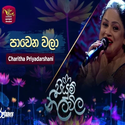 Pawena Wala (Piyum Neela Vila) mp3 songPawena Wala (Piyum Neela Vila) lyrics and karaoke