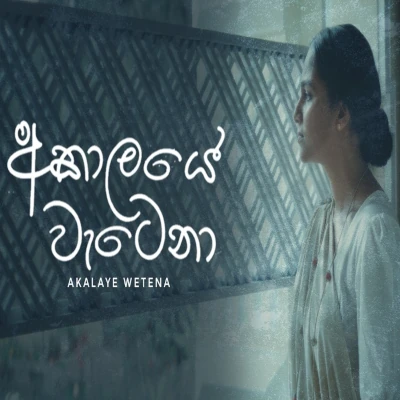 Akalaye Wetena mp3