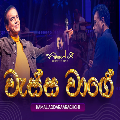 Wassa Waage (Navage Gee 2024 Live) mp3