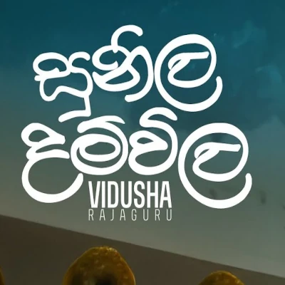 Sunila Damvila mp3