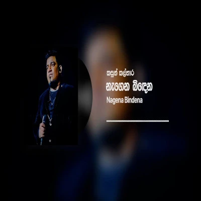 Nagena Bindena mp3 songNagena Bindena lyrics and karaoke