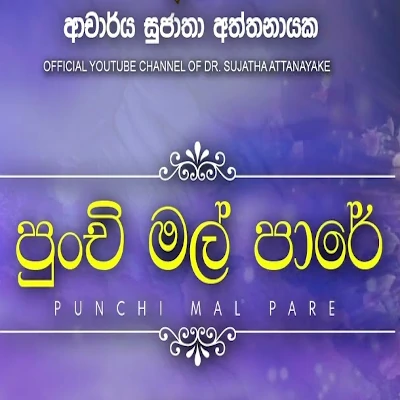 Punchi Mal Paare mp3 songPunchi Mal Paare lyrics and karaoke