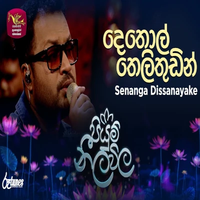 Dethol Thelithudin (Piyum Neela Vila) mp3