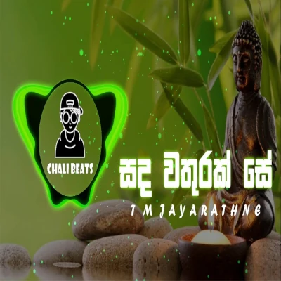 Sanda Wathurak Se (Remix) Song Sinhala Lyrics