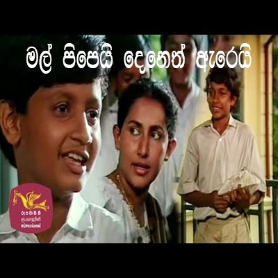 Mal Pipei Deneth Arei (Amba Yahaluwo) mp3 songMal Pipei Deneth Arei (Amba Yahaluwo) lyrics and karaoke