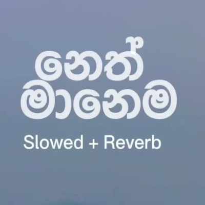 Neth Manema (Slowed & Reverb) mp3 songNeth Manema (Slowed & Reverb) lyrics and karaoke