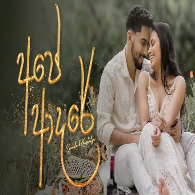 Ape Adare (Ovindu & Kaushalya's Journey of Love) mp3 song