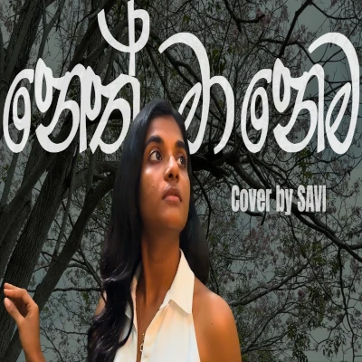 Neth Manema (cover) mp3