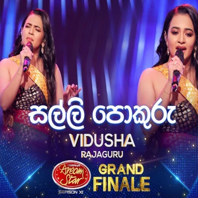 Salli Pokuru Mille Ahuru (Dreamstars Grand Finale) mp3 song