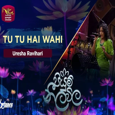 Tu Tu hai wahi (Piyum Neela Vila) mp3 songTu Tu hai wahi (Piyum Neela Vila) lyrics and karaoke
