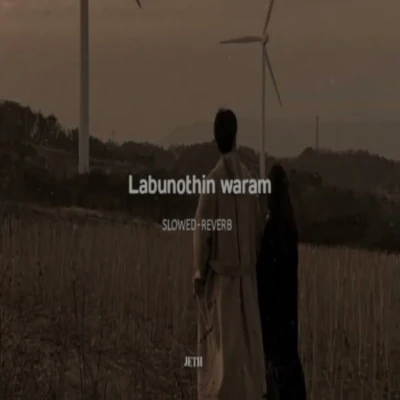 Labunothin Waram (Slowed + Reverb) mp3 songLabunothin Waram (Slowed + Reverb) lyrics and karaoke