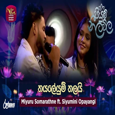 Thayaleyum Thalai (Piyum Neela Vila) mp3