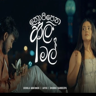 Nopipena Aala Mal mp3 song