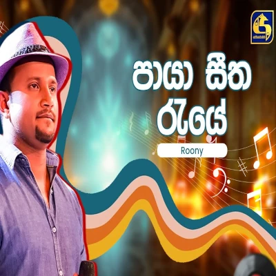 Paya Seetha Raye (Hangum Walata Idadee Mohothak) mp3 songPaya Seetha Raye (Hangum Walata Idadee Mohothak) lyrics and karaoke