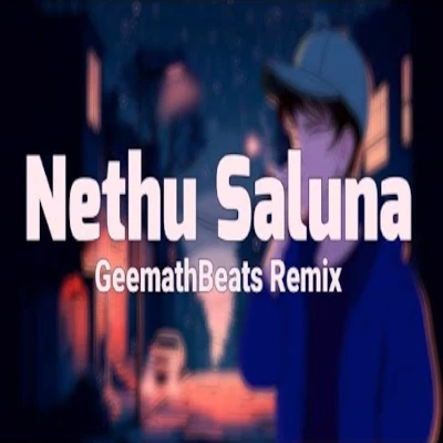 Nethu Saluna (Remix) mp3