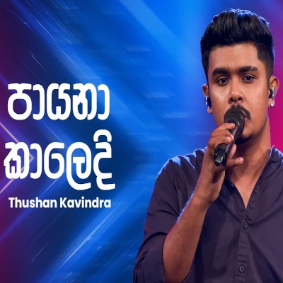 Payana Kaledi (Ahankara Nagare) mp3