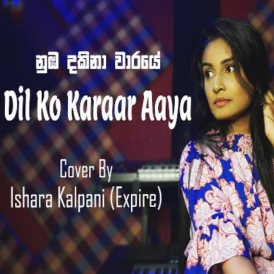 Numba Dakina Waraye & Dil Ko Karaar Aaya (Female Cover) mp3 song