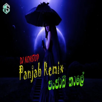 Panjab Remix || DJ Nonstop Sinhala || SL Party Remix mp3