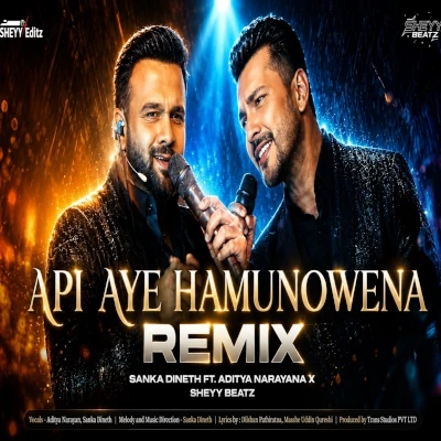 Api Aye Hamunowena (Remix) mp3
