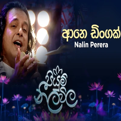 Ane Dingak Innako (Piyum Neela Vila) mp3 songAne Dingak Innako (Piyum Neela Vila) lyrics and karaoke