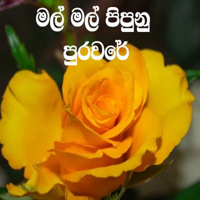 Mal Mal Pipunu Puraware mp3 song