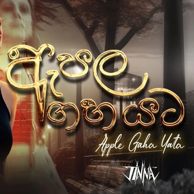 Apple Gaha Yata mp3 song