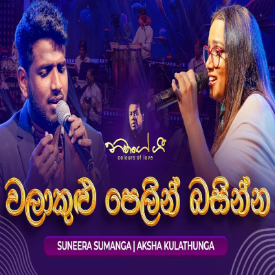 Walakulu Pelin Basinna (Navage Gee 2024 Live) mp3