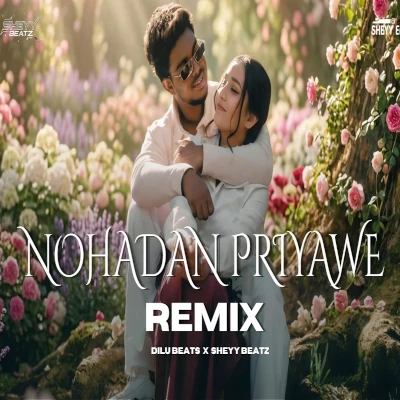 Nohadan Priyawe (Remix) mp3