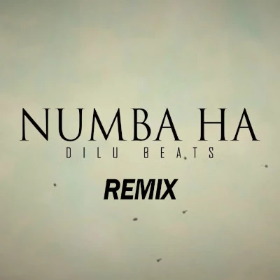 Numba Ha (Remix) mp3 song