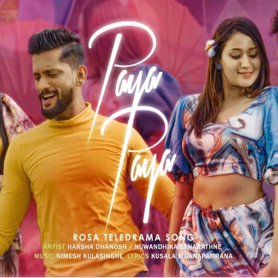 Paya Paya (Rosa) mp3 songPaya Paya (Rosa) lyrics and karaoke