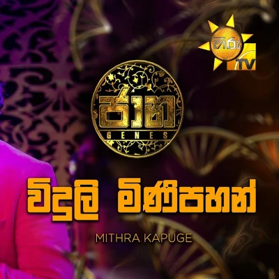 Viduli Mini Pahan (Jaana) Lyrics