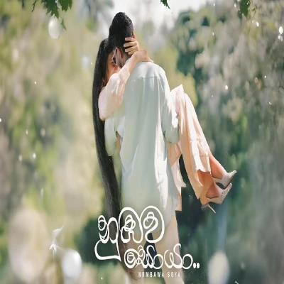 Numbawa Soya (Hiri Mal Wasse Themila) mp3 song