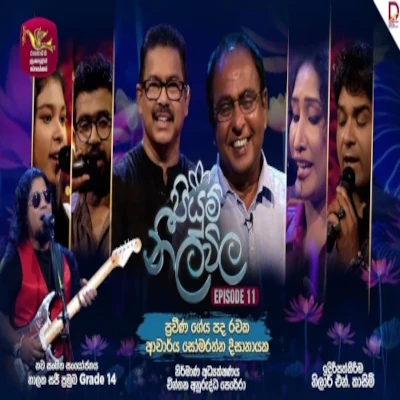 Api Gee Gayamu (Piyum Neela Vila) mp3 songApi Gee Gayamu (Piyum Neela Vila) lyrics and karaoke