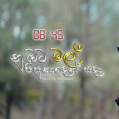 Nubata Mal Pipunaden Sada mp3