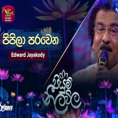 Pipila Paravena (Piyum Neela Vila) mp3 songPipila Paravena (Piyum Neela Vila) lyrics and karaoke