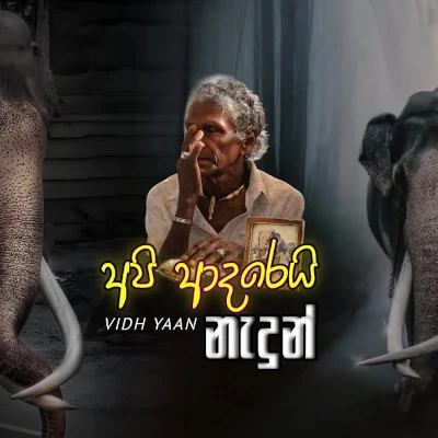 Api Adarei Nadun mp3